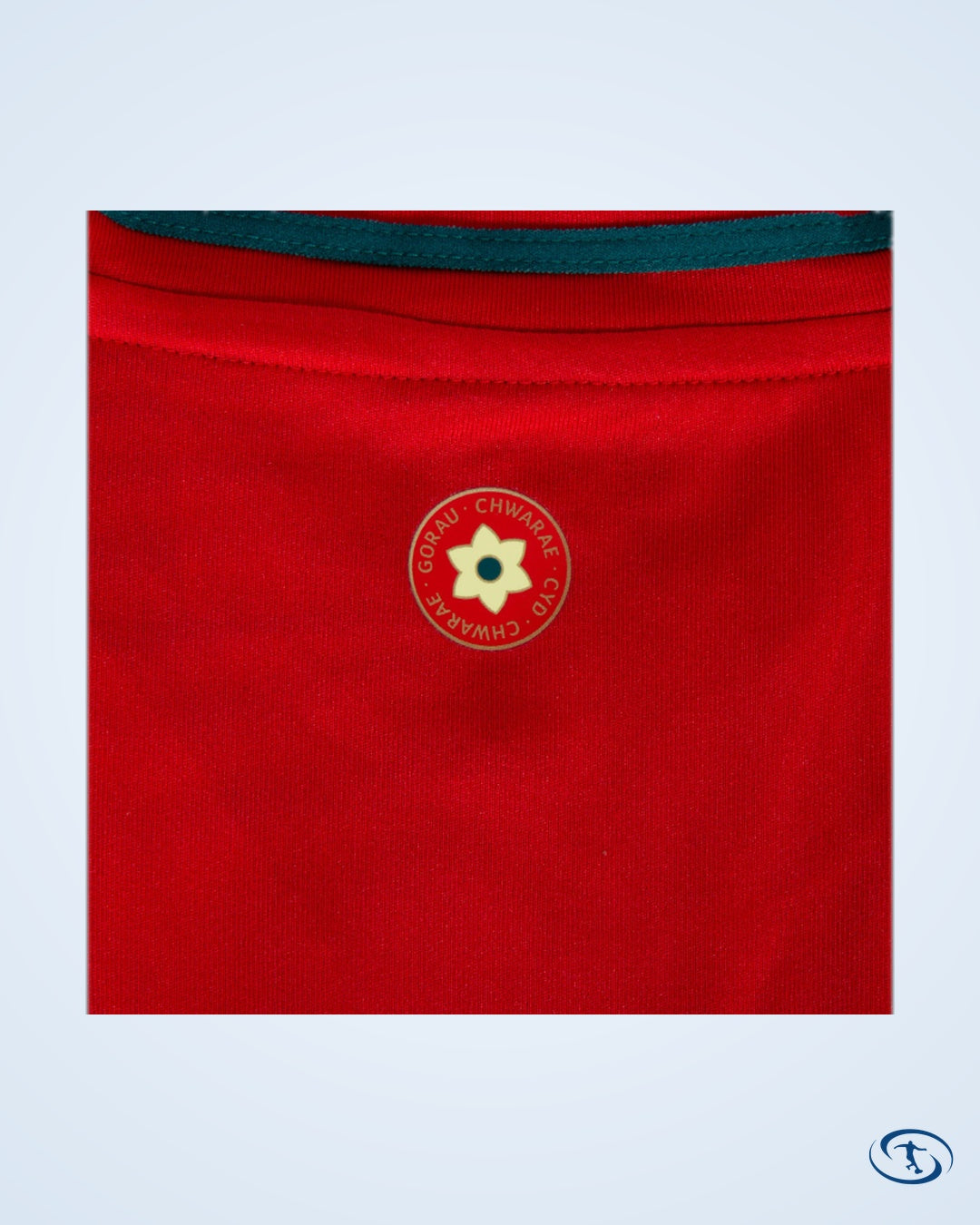 Wales Home Shirt 2024-2025 - Men's
