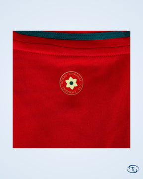 Wales Home Shirt 2024-2025 - Men's