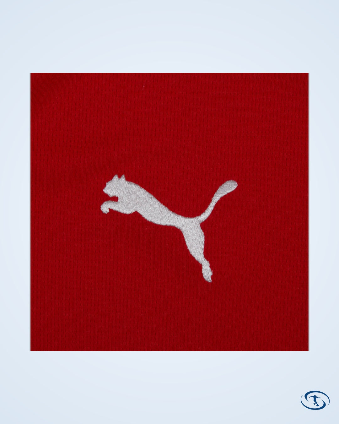 Stade Rennes Home Shirt 2025-2026 - Fan Version
