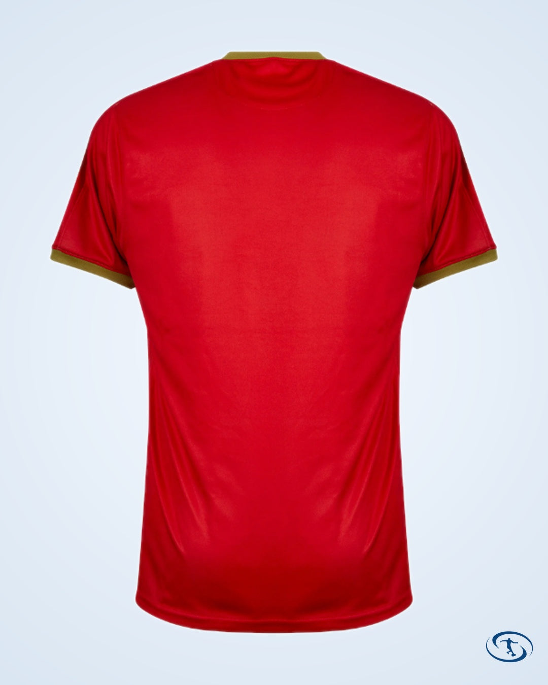 Tempo Guadeloupe Home Match Shirt 2024-2025 - Men's