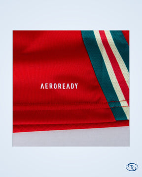 Wales Home Shirt 2024-2025 - Men's