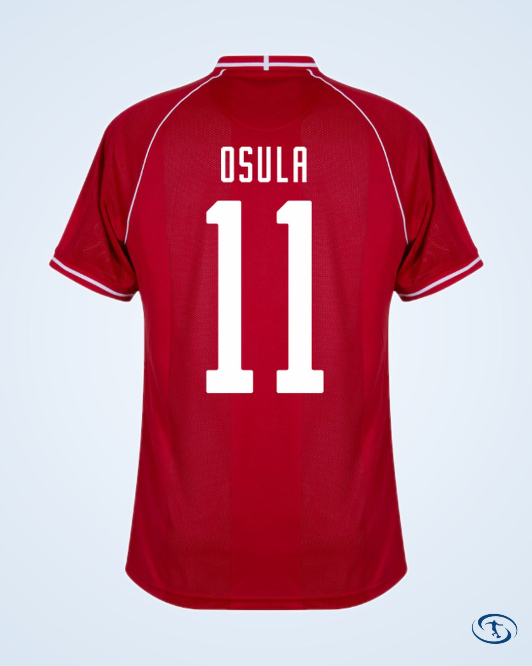 Denmark Home Shirt 2026-2027 (Fan Style Printing)