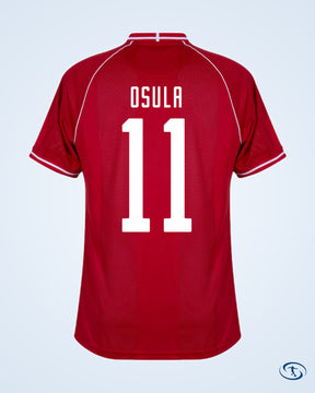 Denmark Home Shirt 2026-2027 (Fan Style Printing)