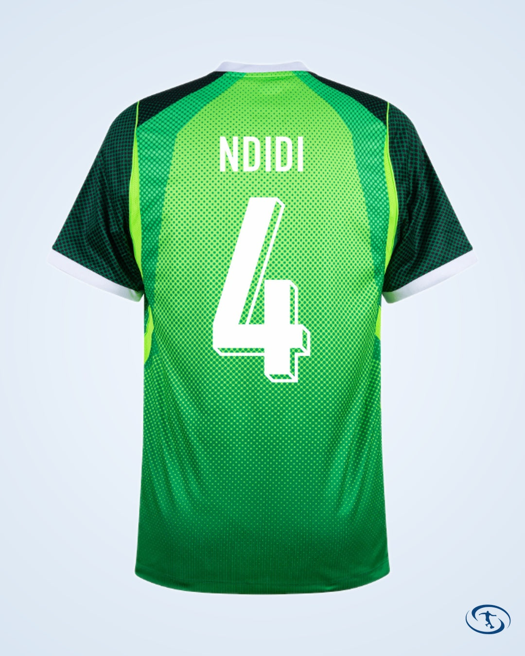 Nigeria Home Shirt 2026-2027 Fun Version (Fan Style Printing)