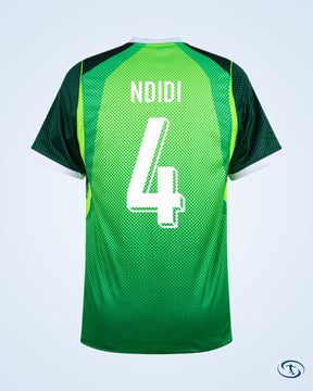 Nigeria Home Shirt 2026-2027 Fun Version (Fan Style Printing)
