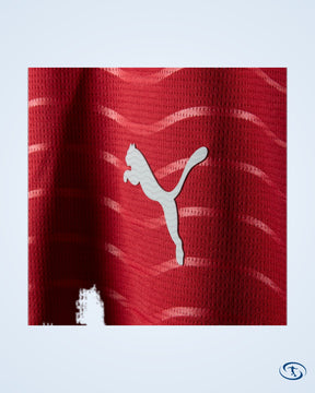 Portugal Home L/S Shirt 2026-2027 - Fan Version