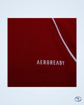 Liverpool Shirt 2025-2026 Fan Version (Premier League)