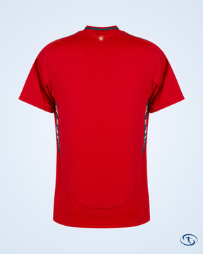 Wales Home Shirt 2024-2025 - Men's