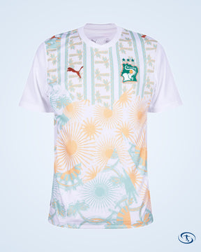 Ivory Coast Away Shirt 2026-2027 - Men's