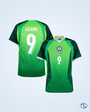 Nigeria Home Shirt 2026-2027 Fun Version (Fan Style Printing)