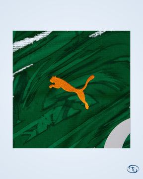Borussia Dortmund GK Shirt 2025-2026 (Green) - Fan Version