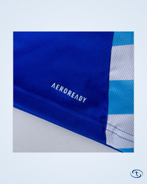 Argentina Away Shirt 2024-2025 Customizable - Men's