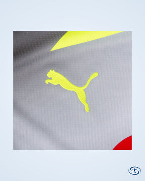 Borussia Dortmund Away Shirt 2025-2026 Fun Version (Official Printing)