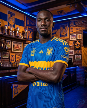 Camisa Tigres Home 24/25 - Torcedor Nike Masculino - Azul e Amarelo - Side View | Sant Sport