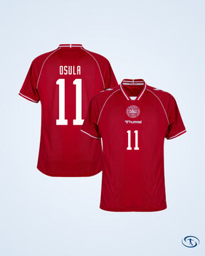 Denmark Home Shirt 2026-2027 (Fan Style Printing)