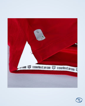 Albania Home Authentic Shirt 2024-2025 - Men's