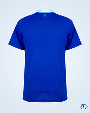 Argentina Away Shirt 2024-2025 Customizable - Men's